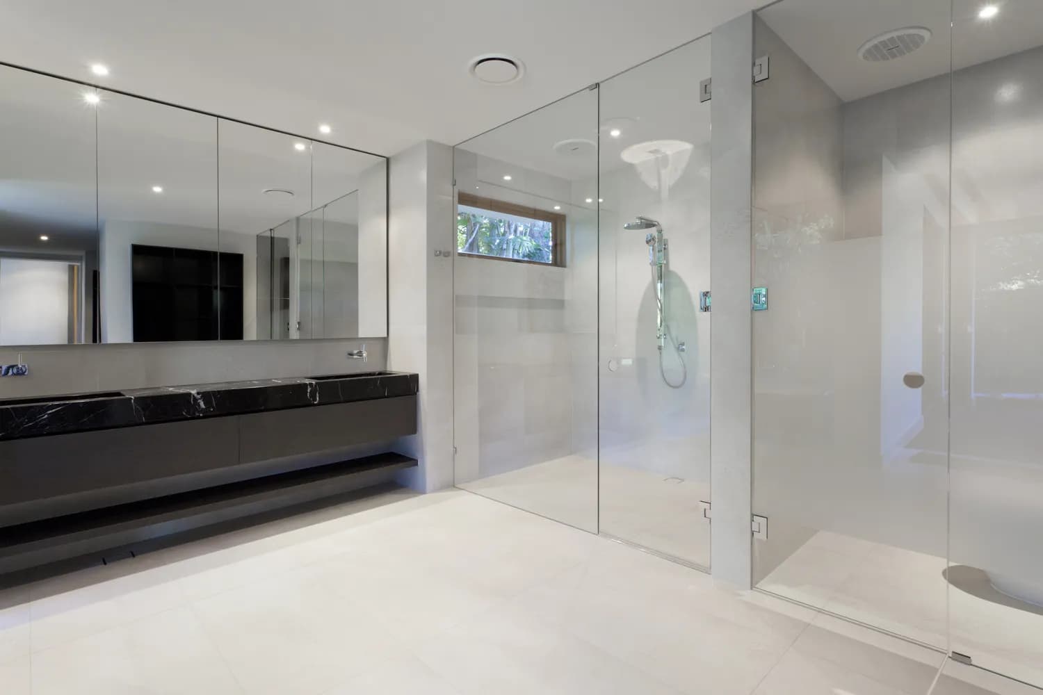 Recent Shower Screen Projects - project 5